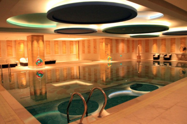 广州单硬脂D-95批发市场